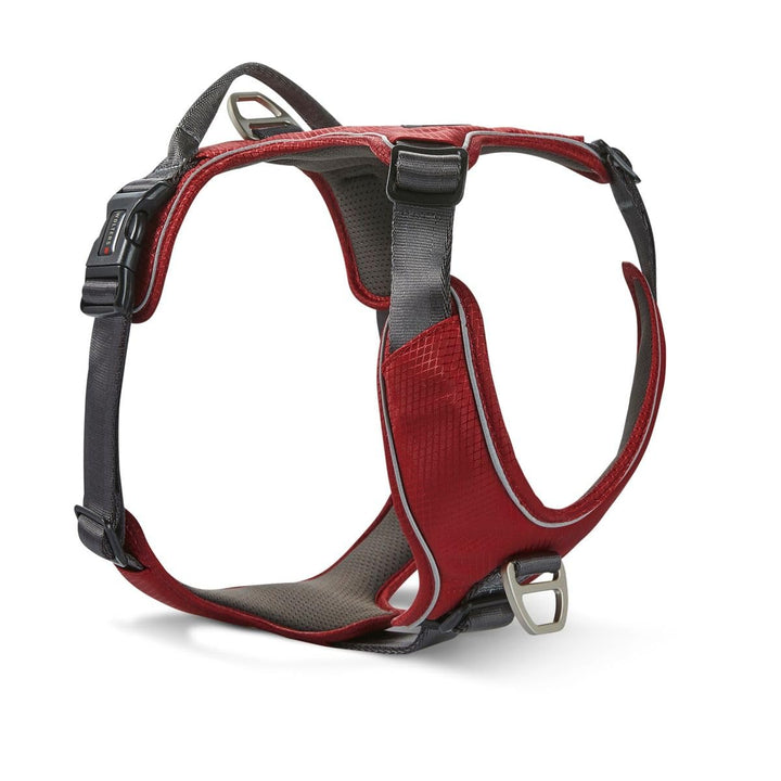 Wolters Geschirr Active Pro Comfort, Grösse:80-95 cm, Farbe:rot/anthrazit 80 - 95 cm rot/anthrazit,