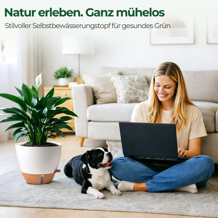 T4U 2er Set 25cm Selbstbewässernder Blumentopf mit Wasserstandsanzeige, ideal für Geigenfeige & Mons