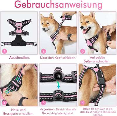 rabbitgoo Hundegeschirr Kleine Hunde Anti Zug Geschirr Hund mit Kontrolle No Pull Verstellbar Hundeg