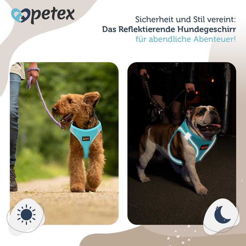 Petex Hundegeschirr für kleine & mittelgrosse Hunde - TUV Geprüft - Made in Europe - Welpengeschirr