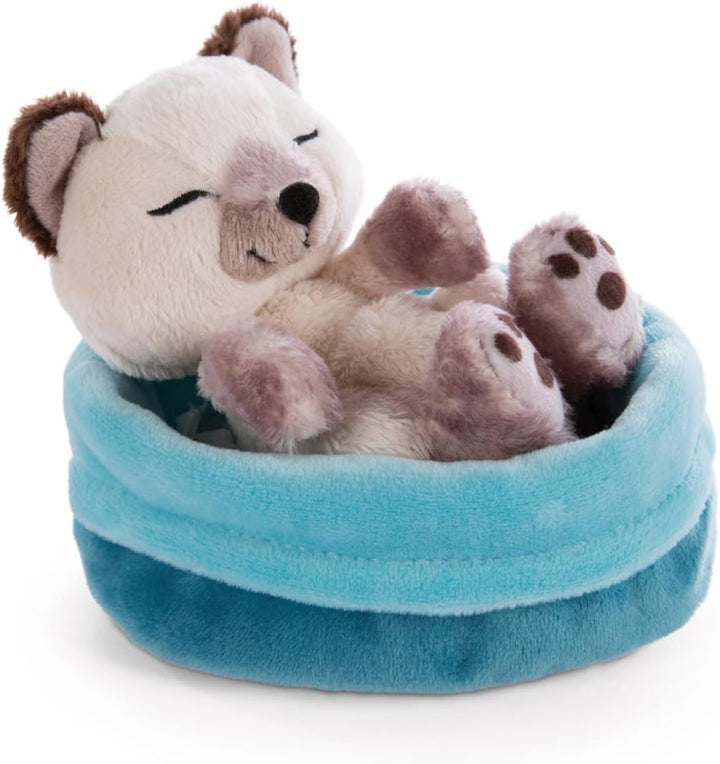 NICI 47893 Kuscheltier Körbchen 12 cm – Sleeping Pets Plüschtier Siam Mädchen, Jungen & Babys – Stof