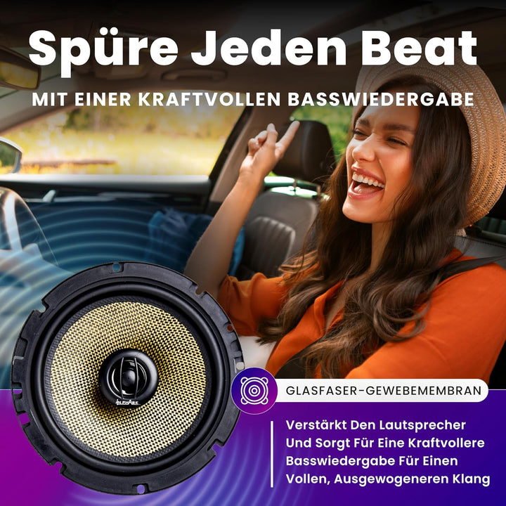 In Phase XTC17.2 250 W Lautsprecher Koaxial System