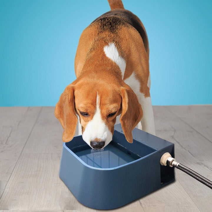 Waterer Automatischer Hundewassernapf, Futterspender für Katzen, mit Schwimmventil | Wasserspender f
