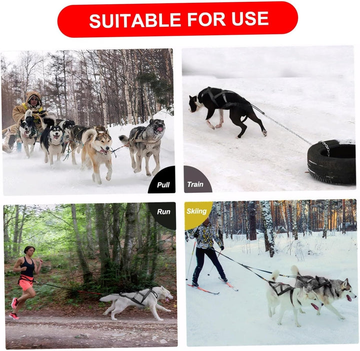 Mushing-Geschirr für Hundeschlitten Übung für Haustiere Gewichtszug-Schlittengeschirr Bikejöring Ski