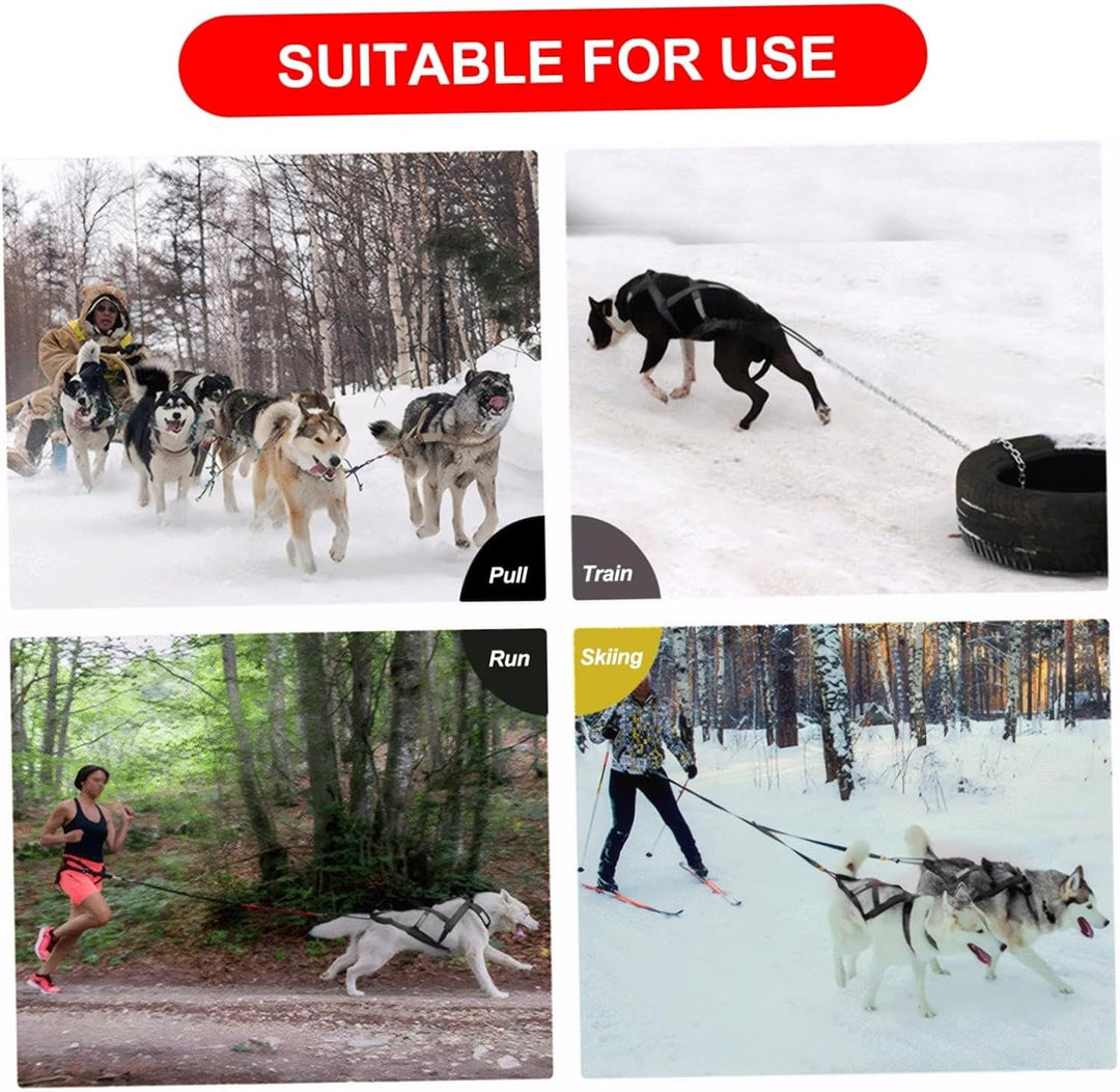 Mushing-Geschirr für Hundeschlitten Übung für Haustiere Gewichtszug-Schlittengeschirr Bikejöring Ski
