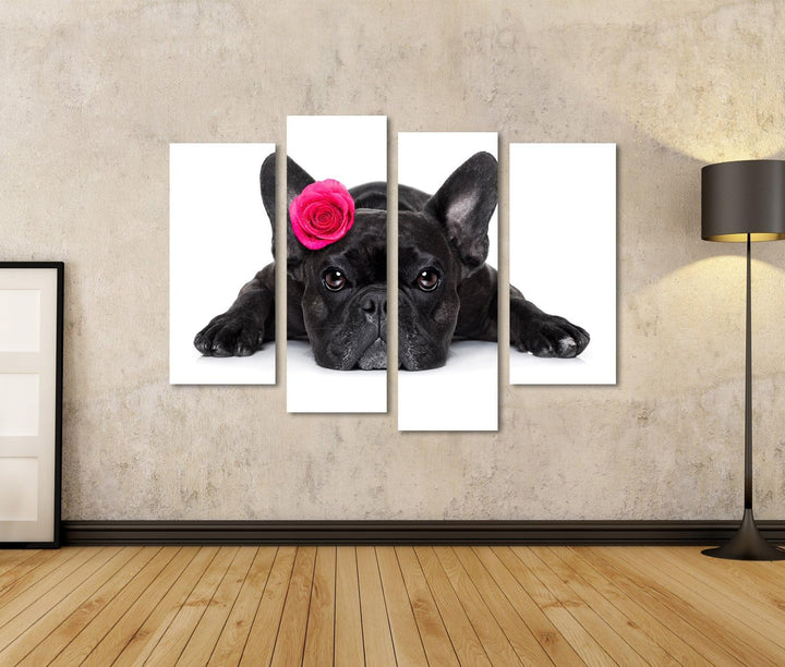 islandburner Bild auf Leinwand Hund der französischen Bulldogge, der Sie, beim Lügen aus den Grund o