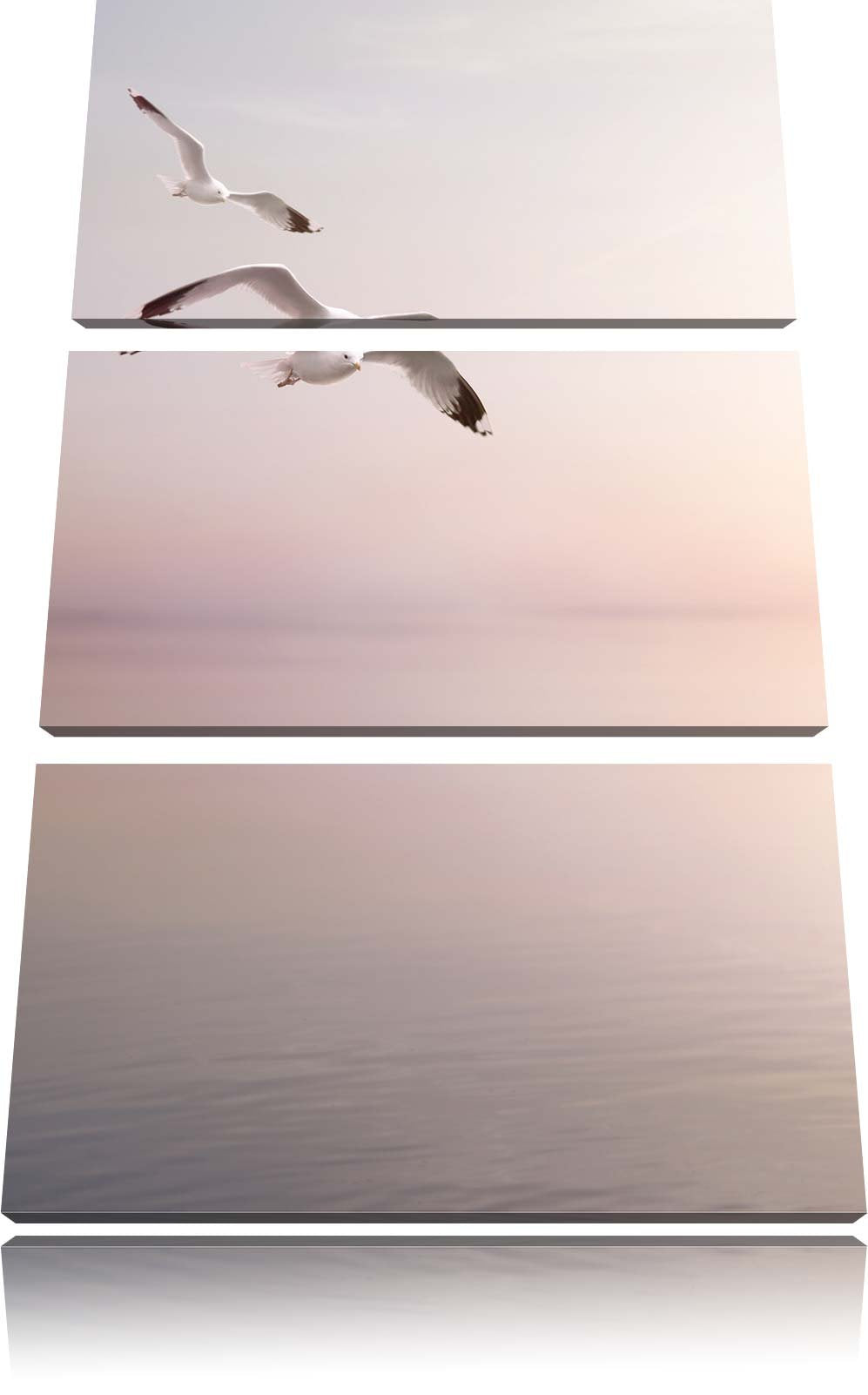 Pixxprint Möwen am Meer bei Sonnenaufgang als Leinwandbild/Grösse: 3 Teilig (120x80) cm/Wandbild/Kun