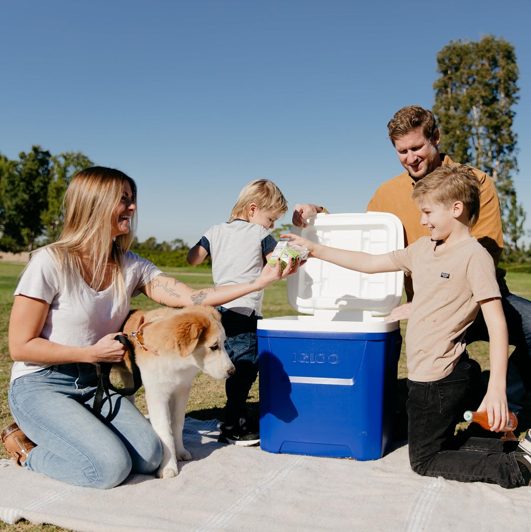IGLOO Laguna 60 Kühlbox 56L – Grosse Passiv-Kühlbox mit Rollen & Teleskopgriff – Robuste Isolierbox