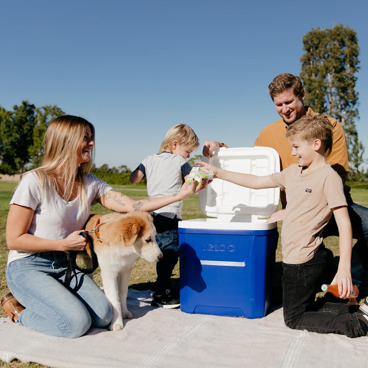 IGLOO Laguna 60 Kühlbox 56L – Grosse Passiv-Kühlbox mit Rollen & Teleskopgriff – Robuste Isolierbox