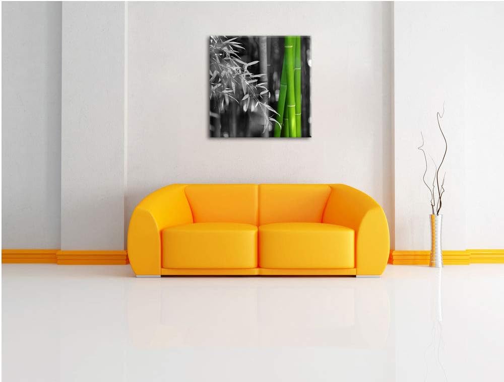 Pixxprint frischer Bambus schwarz/weiss, Format: 70x70 auf Leinwand, 70x70