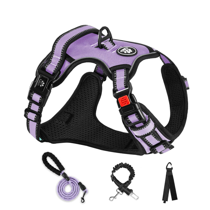 NESTROAD Anti Zieh Hundegeschirr Grosse Hunde Leine Geschirr Set,für Hunde Grosse mit Halsumfang 43~