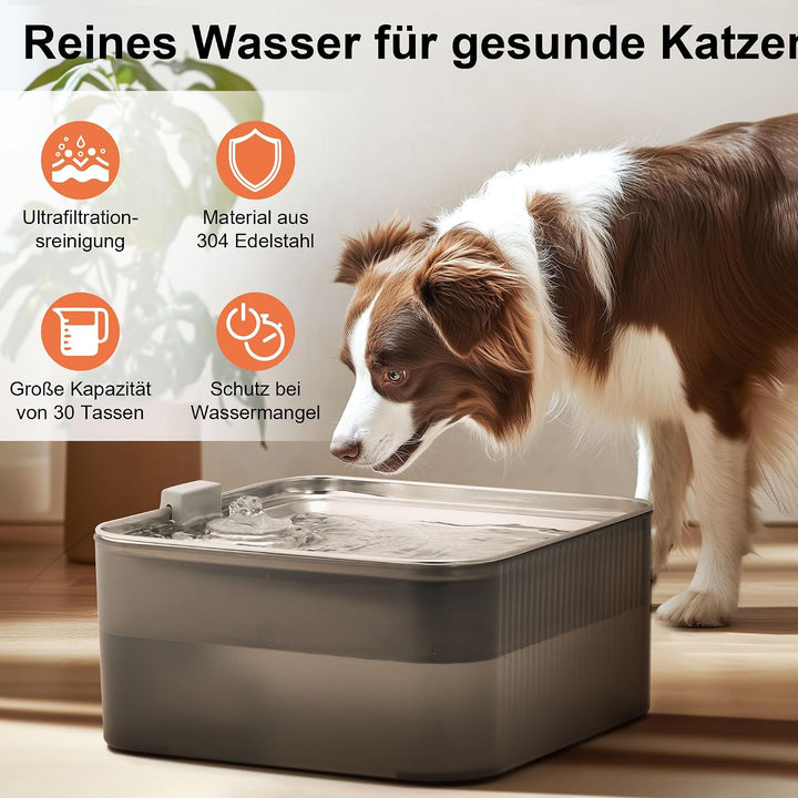 FUKUMARU 7L Trinkbrunnen für Hunde，Katzenbrunnen mit 5-Schicht Filtration，Edelstahl Hundebrunnen mit