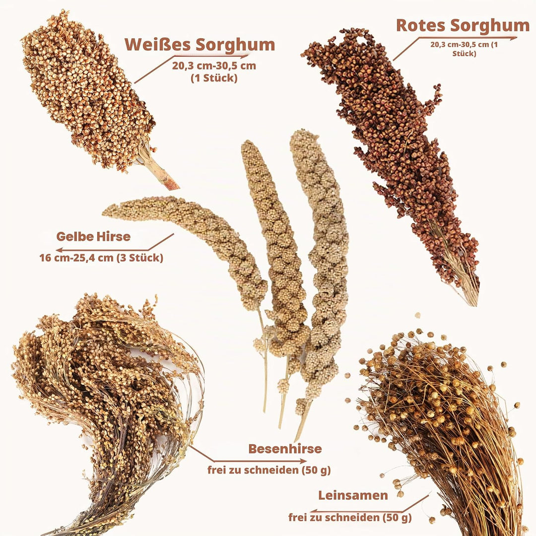 Natürliche Ähren aus Getreide Blumen und Kräuter, Einstreu, Lebensraum-Dekoration, lustiges Hamster-