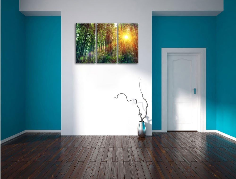 Pixxprint Wald bei Sonnenlicht / 3-Teilig/Gesamtmass 120cm Leinwandbild bespannt auf Holzrahmen/Wand