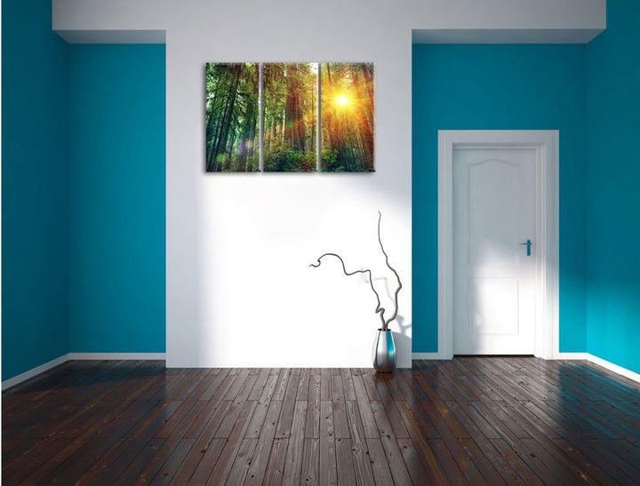 Pixxprint Wald bei Sonnenlicht / 3-Teilig/Gesamtmass 120cm Leinwandbild bespannt auf Holzrahmen/Wand