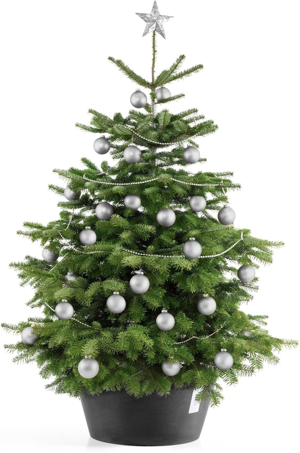 Ecopots Christbaumständer mit Wasserspeicher für Bäume bis 3,00 m Baumhöhe umkippsicher - Tannenbaum