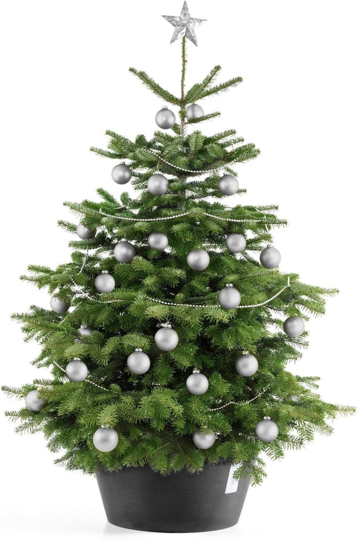 Ecopots Christbaumständer mit Wasserspeicher für Bäume bis 3,00 m Baumhöhe umkippsicher - Tannenbaum