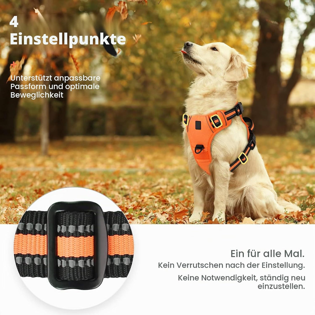 Hundegeschirr No-Pull für Kleine, Grosse und Mittelgrosse Hunde - Weich, Atmungsaktiv, Einstellbar,