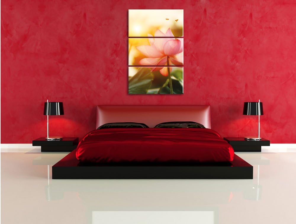 Pixxprint Lotus im Abendlicht als Leinwandbild | Grösse: 3 Teilig (120x80) | Wandbild| Kunstdruck |