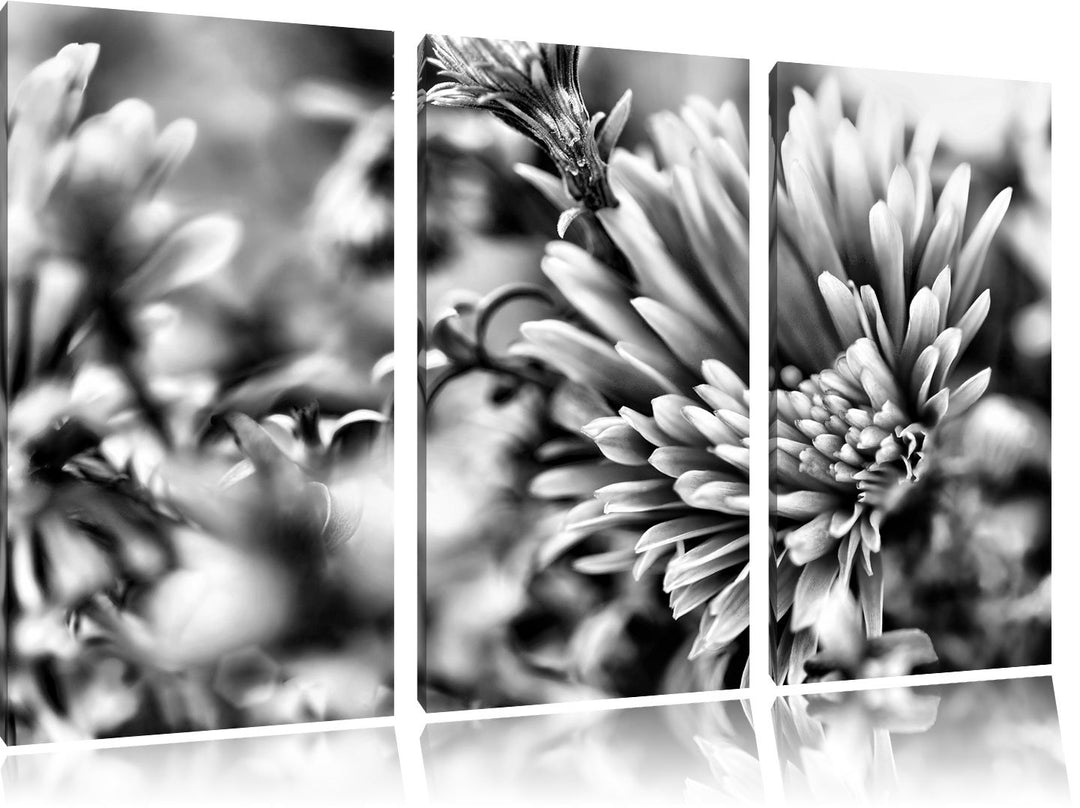 Pixxprint Romantische Blumen als Leinwandbild/Grösse: 3 Teilig (120x80) cm/Wandbild/Kunstdruck/ferti