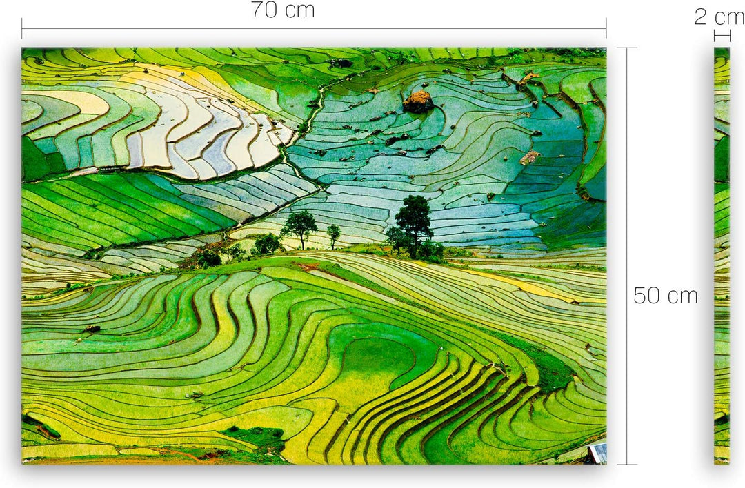 ge Bildet Bild auf Leinwand | Landschaftsbilder - Reisfelder in der Provinz Lao Cai - Vietnam K in 7