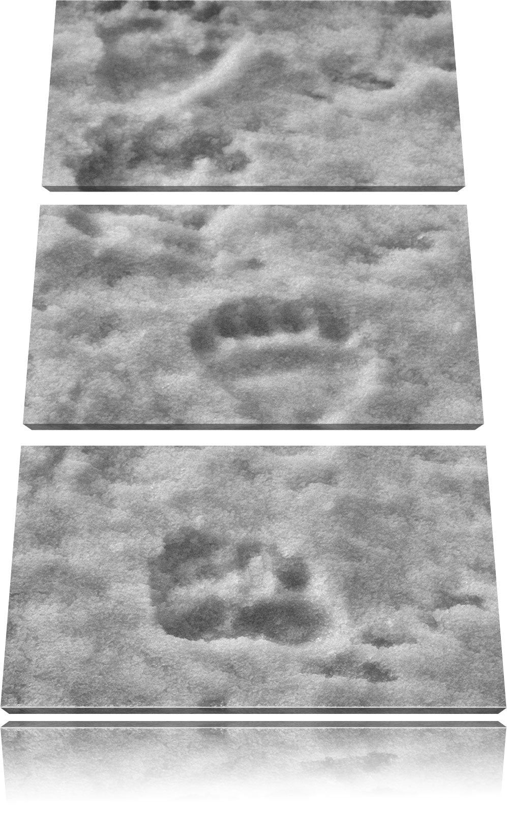 Pixxprint Monocrome, Tierspuren im Schnee 3-Teiler Leinwandbild 120x80 Bild auf Leinwand