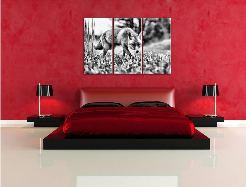 Pixxprint Schöner Fuchs als Leinwandbild/Grösse: 3 Teilig (120x80) / Wandbild/Kunstdruck/fertig besp