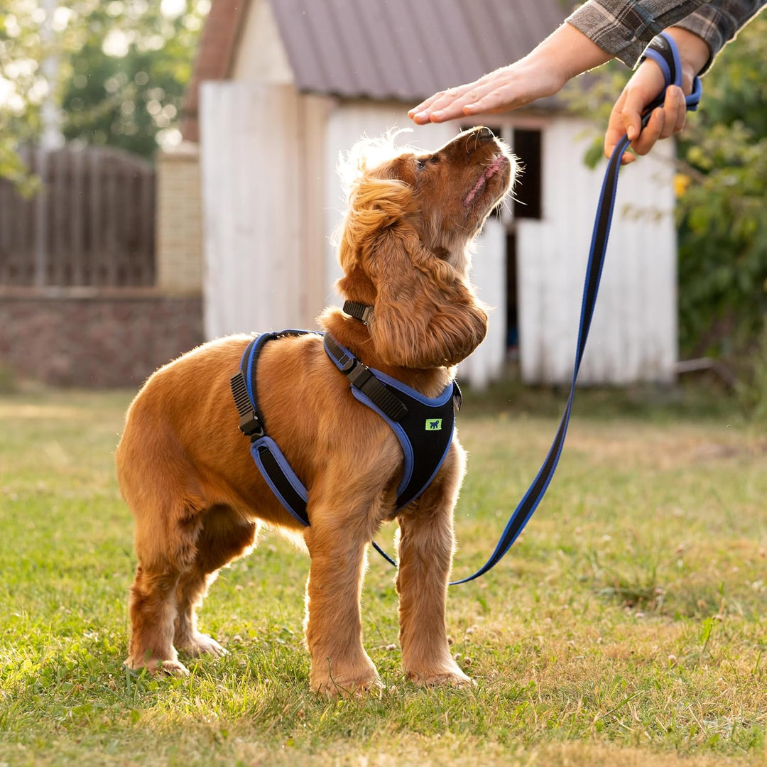 Ferplast Hundegeschirr mittlegrosse Hunde Geschirr Hunde mit Polsterung ERGOCOMFORT M, Halsumfang: 3