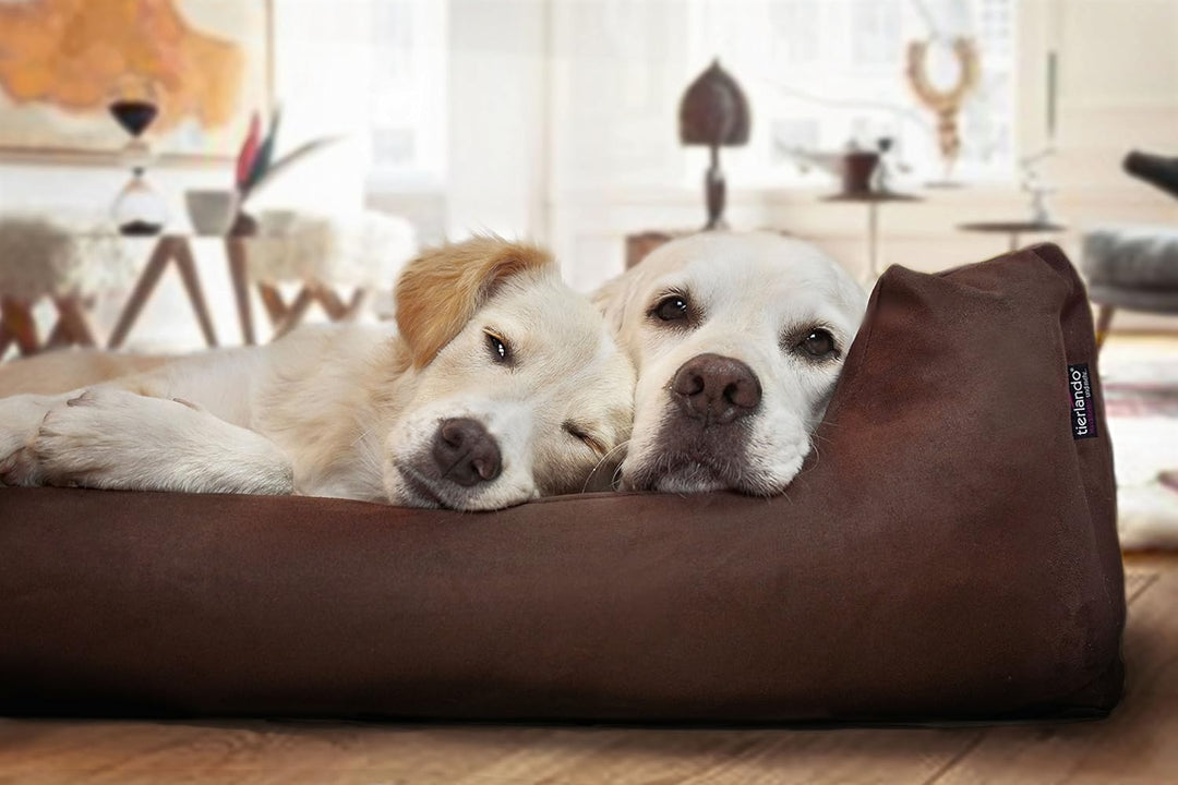 tierlando® Orthopädisches Hundebett Pluto Ortho VISCO Viscoschaum aus weichem Velours Grösse: PLV3 9
