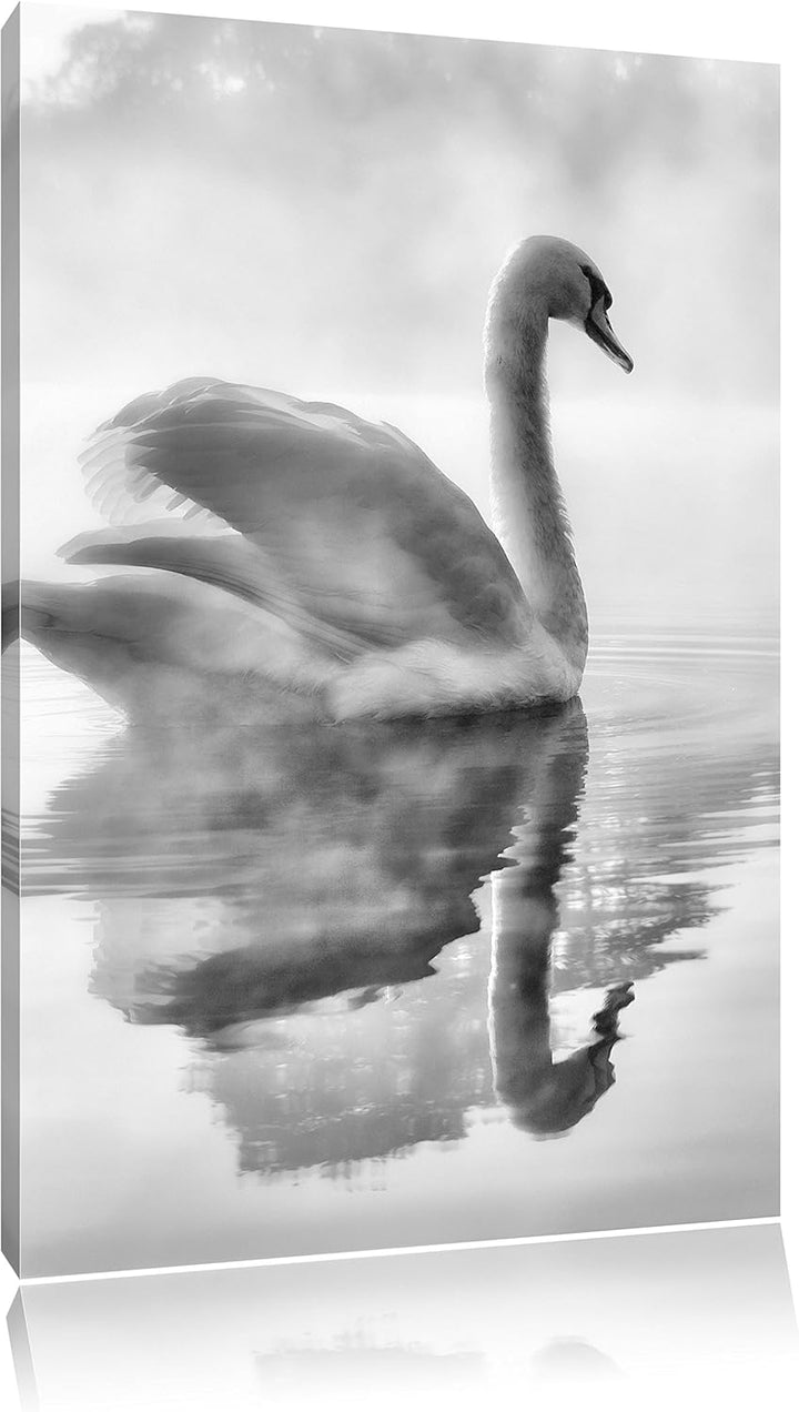 Pixxprint Schwan im Morgennebel als Leinwandbild/Grösse: 100x70 / Wandbild/Kunstdruck/fertig bespann