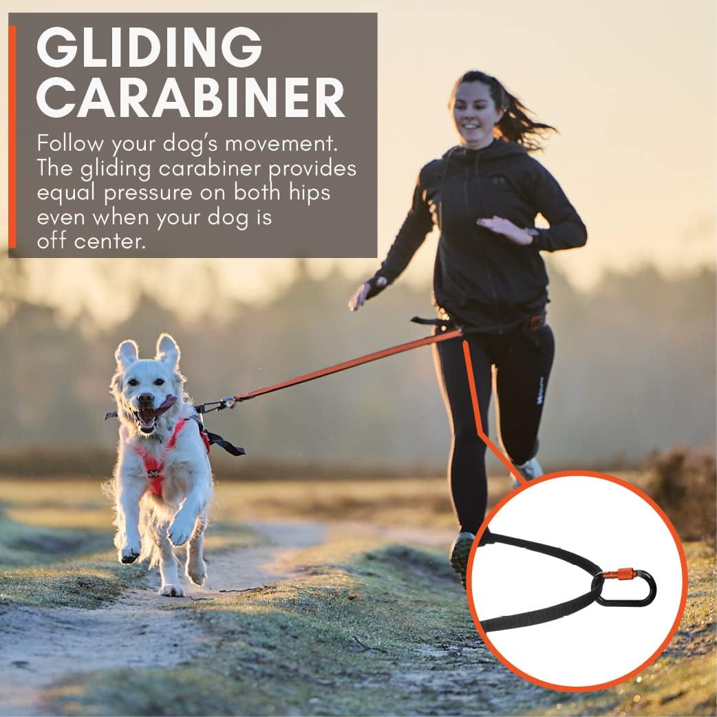 Non-stop dogwear CANIX-Belt | 123X | maximale Sicherheit - minimales Gewicht!, Grösse:L, L