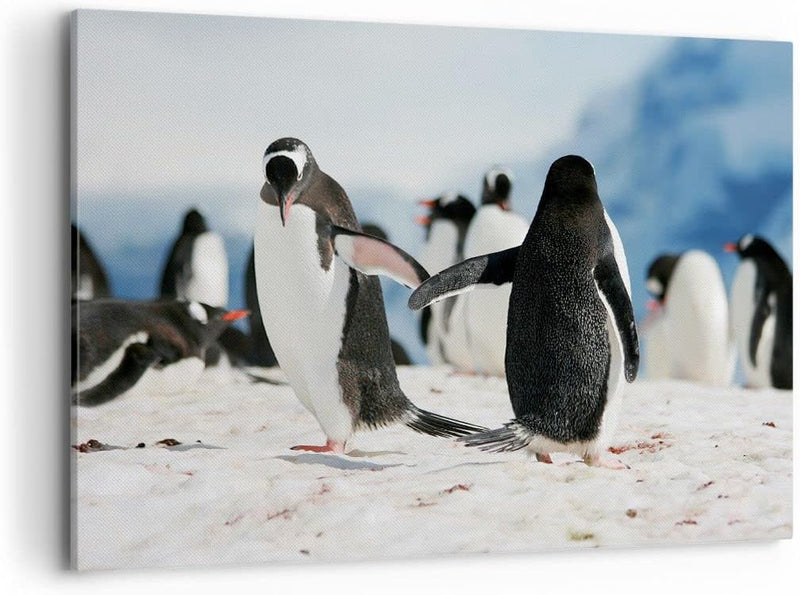 Bilder auf Leinwand 100x70cm Leinwandbild Pinguine Winter Natur Schnee Gross Wanddeko Bild Schlafzim