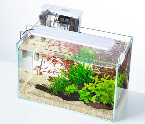 Würfel Fischglas 15 * 11 * 13CM - Ultraweisses Glas Aquarium | Kompakt Becken für Heimdekoration 15*