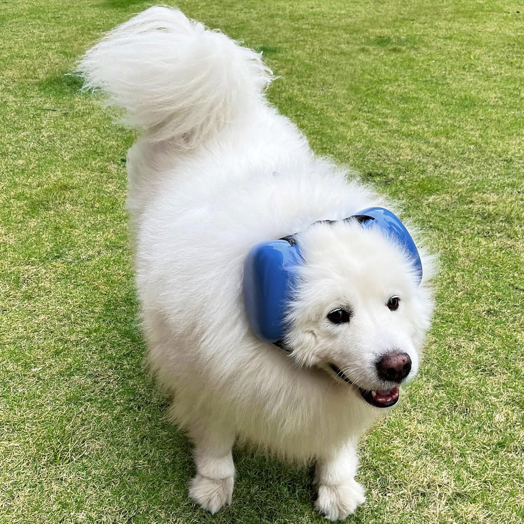 derYEP Hunde-Ohrenschützer für Gehörschutz, 29 dB NRR, Ohrenschützer, Lärmschutz (XLarge, blau) XL B