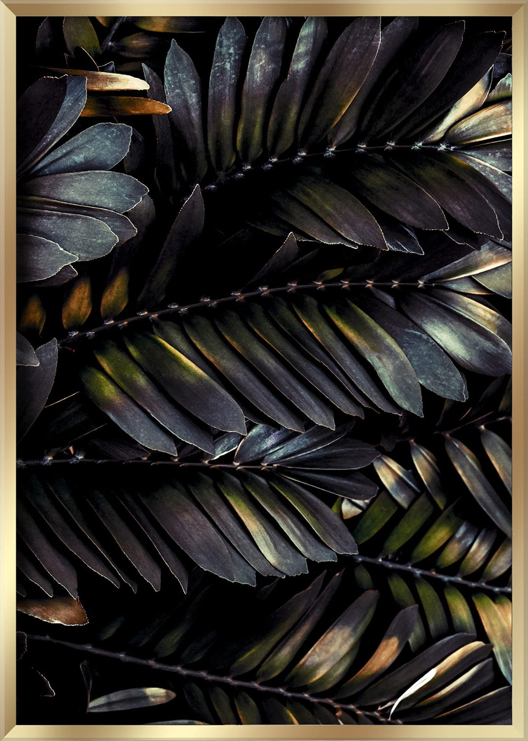 Rahmenbild Feather 50 x 70 cm I Bild mit goldenem Rahmen I Pflanze Blätter Natur gold Federn Kunst |