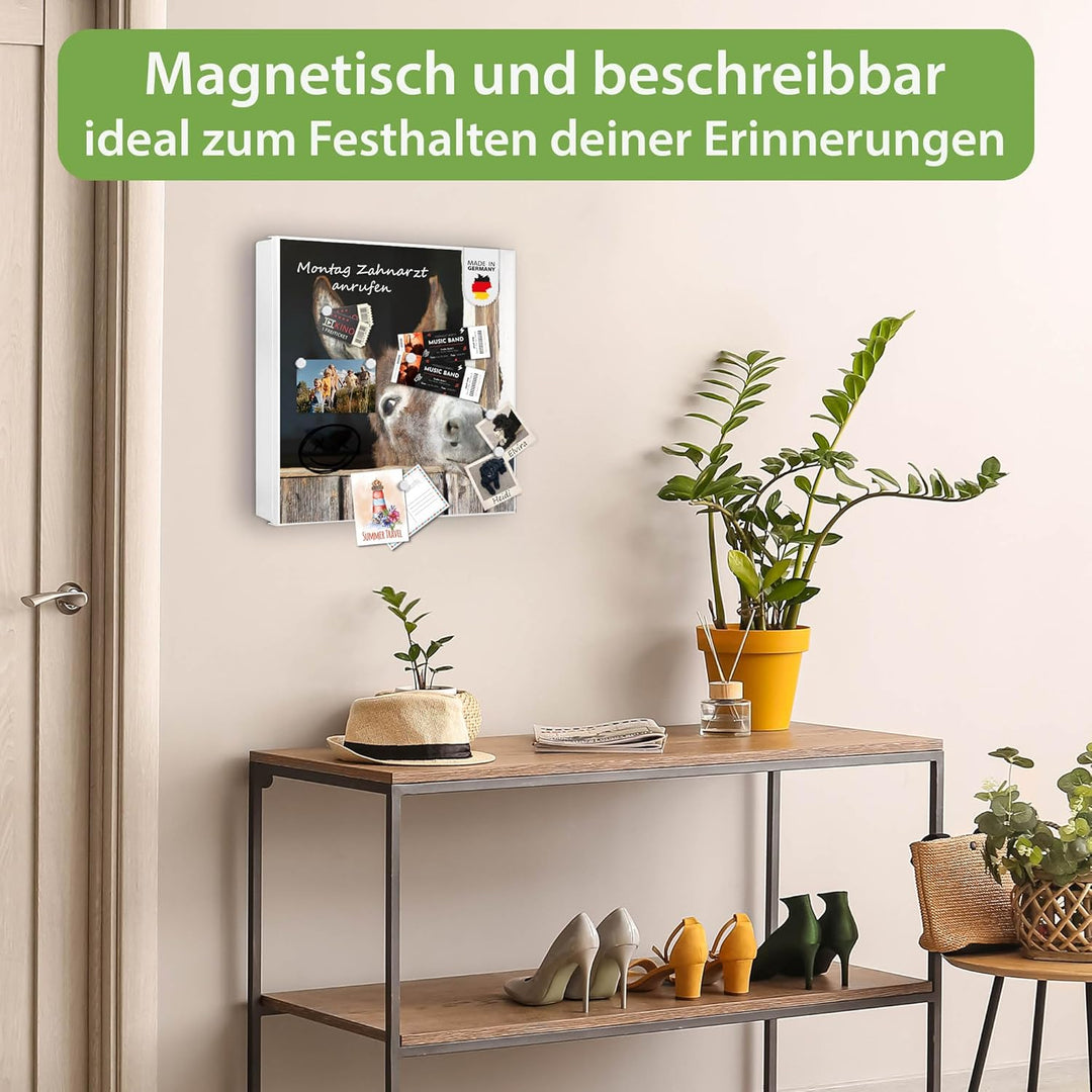 banjado® Grosser Schlüsselkasten Glas/Schlüsselbox 30cm x 30cm mit 50 Haken - Motiv Nicki/Schlüsselk