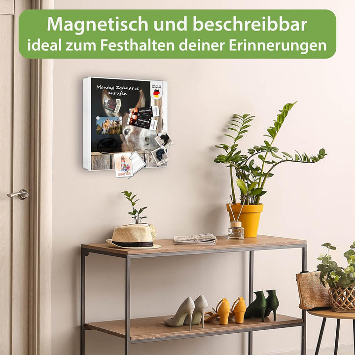 banjado® Grosser Schlüsselkasten Glas/Schlüsselbox 30cm x 30cm mit 50 Haken - Motiv Nicki/Schlüsselk