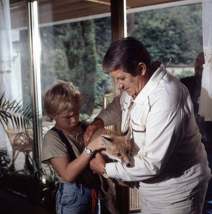 Tierparkgeschichten - Die komplette Serie (DDR TV-Archiv) [3 DVDs], DVD