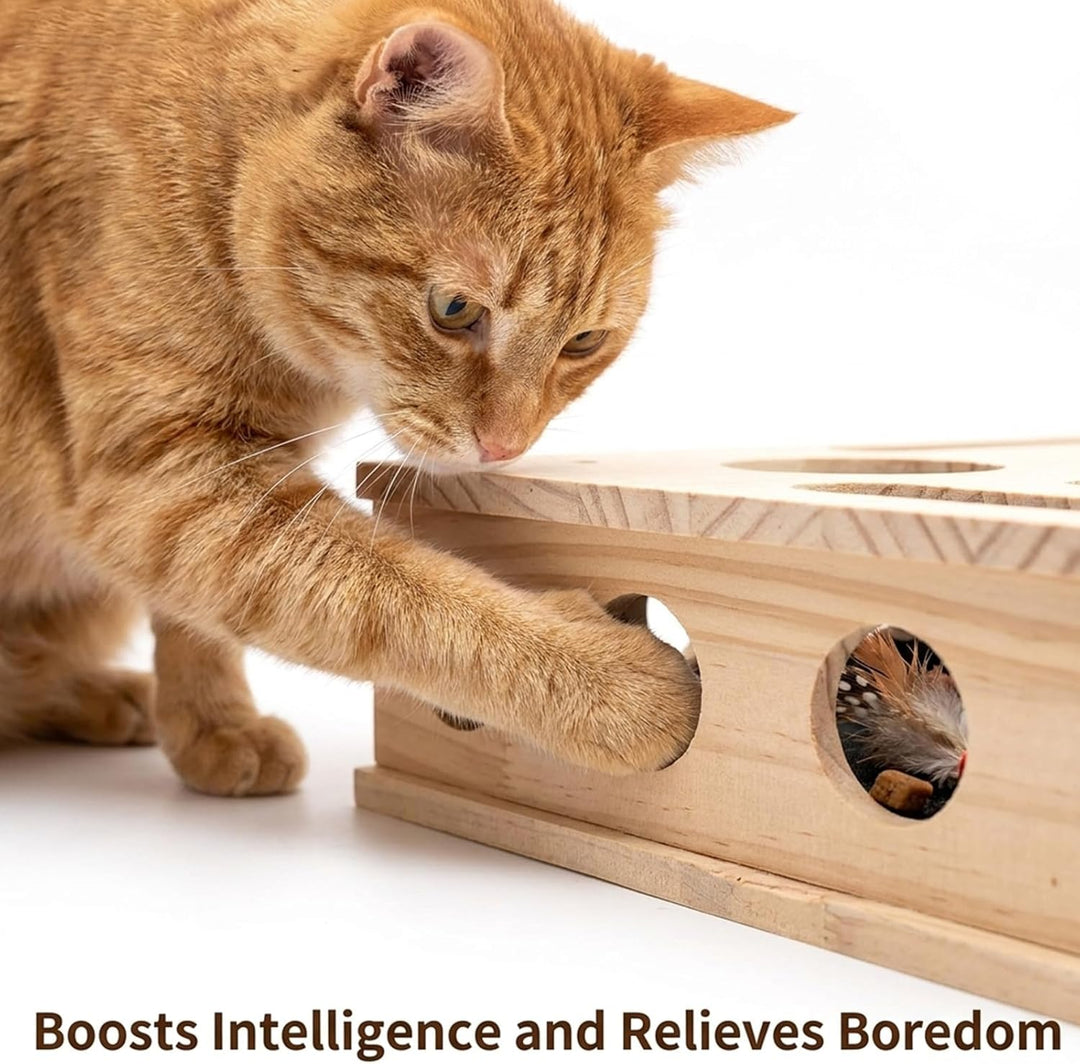 Katzen Krallenpflege Spielzeug, Katzen Krallenfeile Box, Beschäftigungsbox, Kratzpuzzle Spielbox, Ka