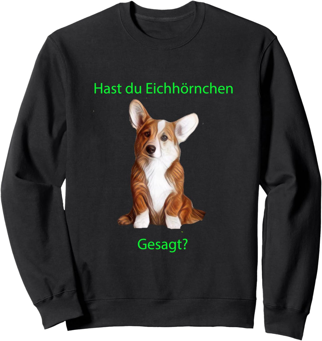 Corgi, ¿dijiste ardilla? Sweatshirt