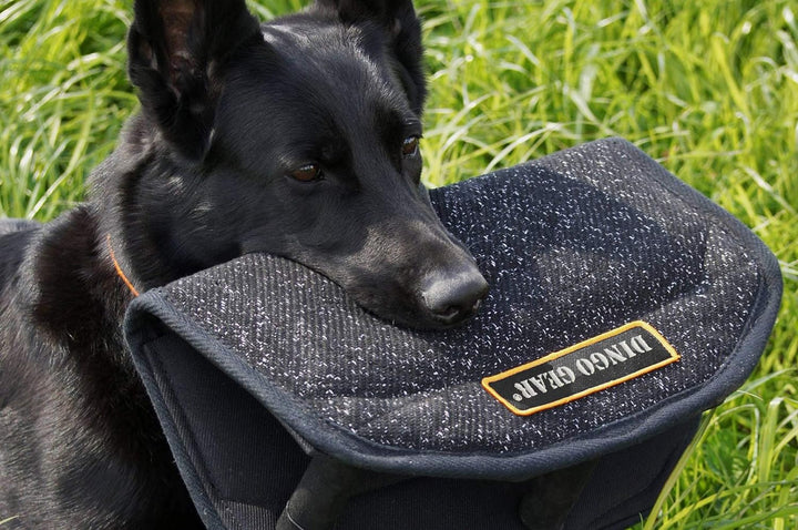 Dingo Gear Beisskissen Keilform Gizmo aus Baumwolle-Nylon Schwarz Ausbildung IGP IPO K9 Hundetrainin