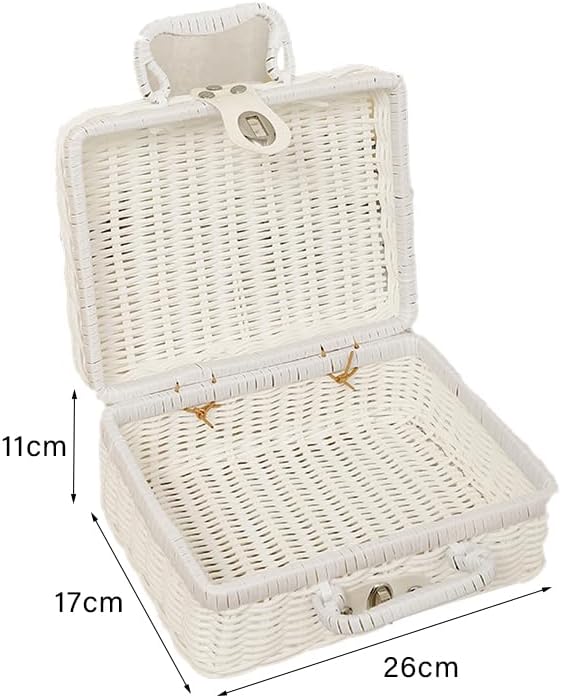 Weidengeflecht Picknickkorb, 26×17×11cm Retro Gewebte Picknickbox | Kunststoff Rattan Koffer Picknic