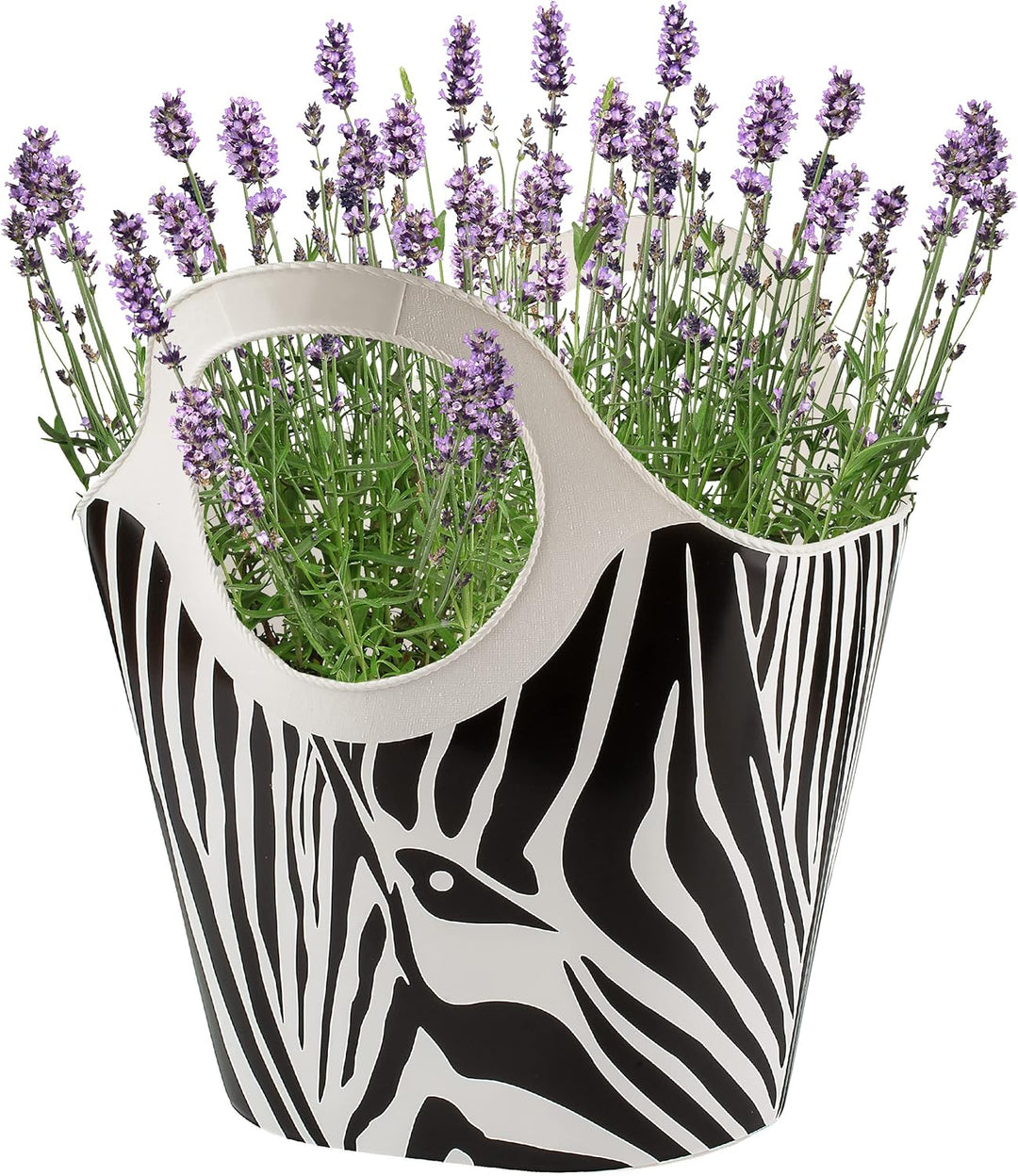 alles-meine.de GmbH 4 Stück Flexi & flexibel Modell + Farbwahl grosse - biegbare - Einkaufskörbe/Pfl