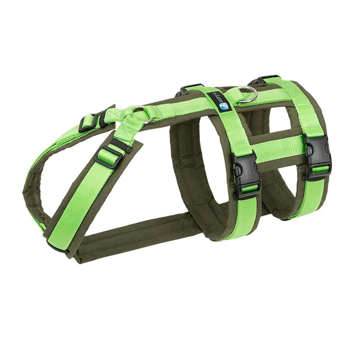 Anny-X Brustgeschirr Safety Fun Oliv-Hellgrün | Ausbruchsicheres Hundegeschirr mit Taillengurt | Grö