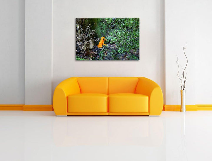 hochgiftiger kleiner Frosch Leinwand, XXL riesige Bilder fertig gerahmt mit Keilrahmen, Kunstdruck a