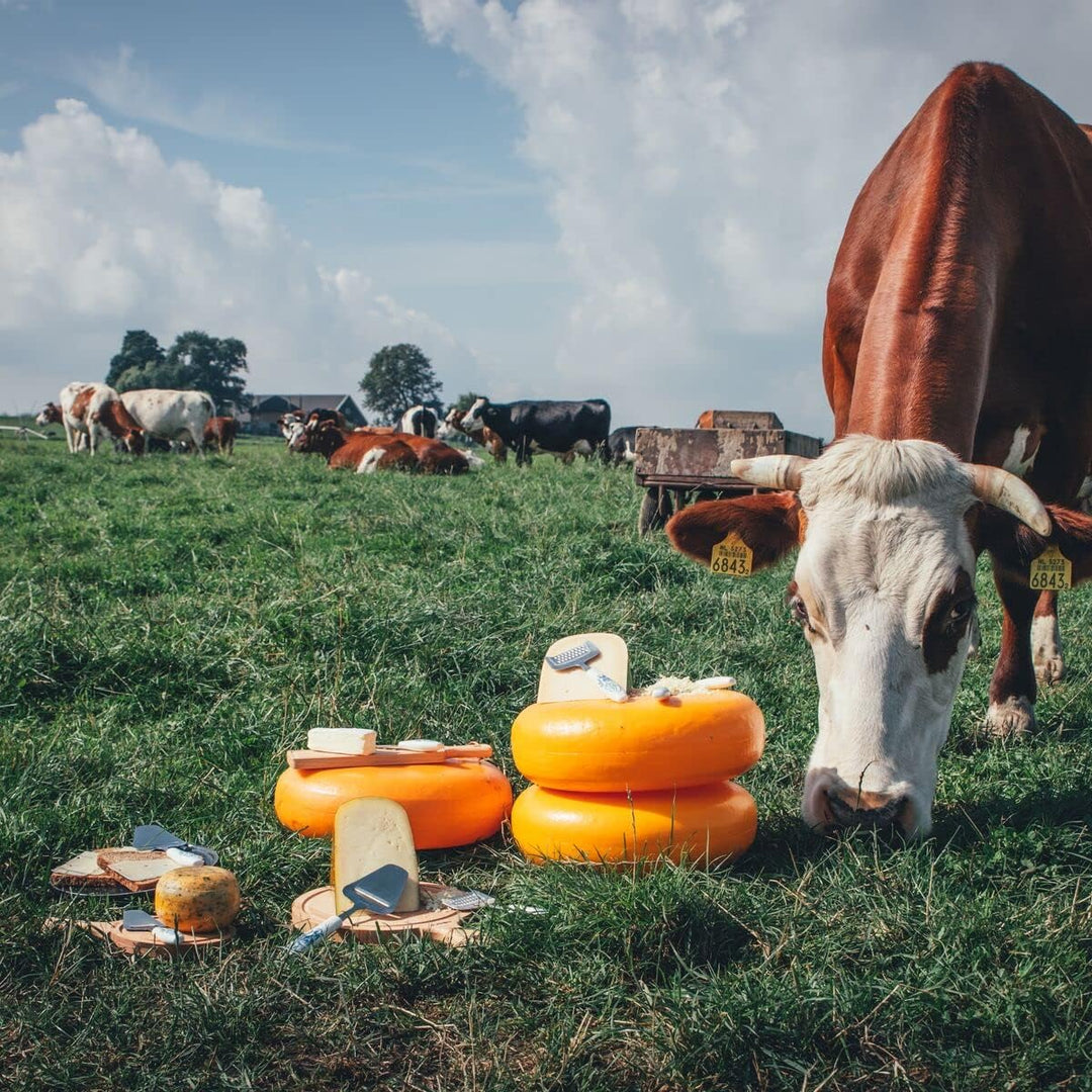 Boska Käsehobel Delfter Blau/spielerische Ausstrahlung/Keramik/Edelstahl/Delfter Blau, Delfter Blau