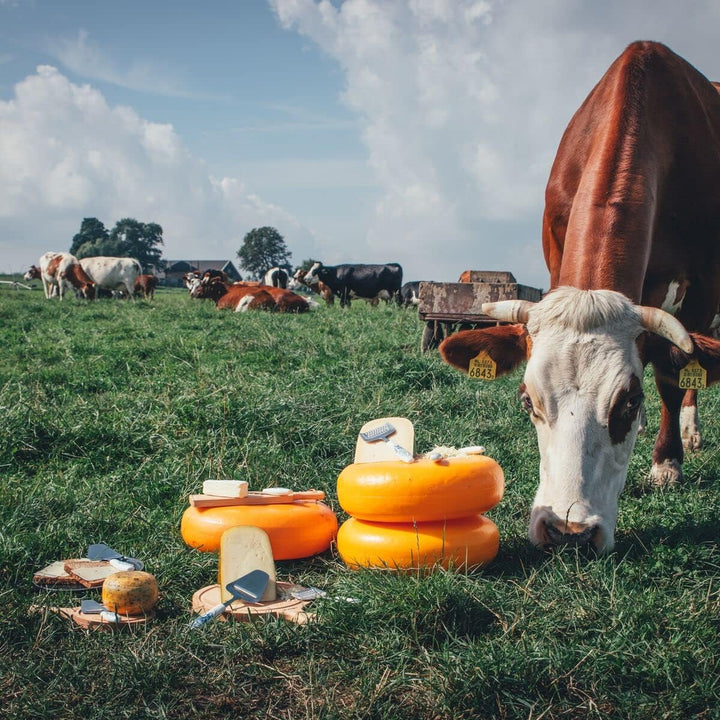 Boska Käsehobel Delfter Blau/spielerische Ausstrahlung/Keramik/Edelstahl/Delfter Blau, Delfter Blau