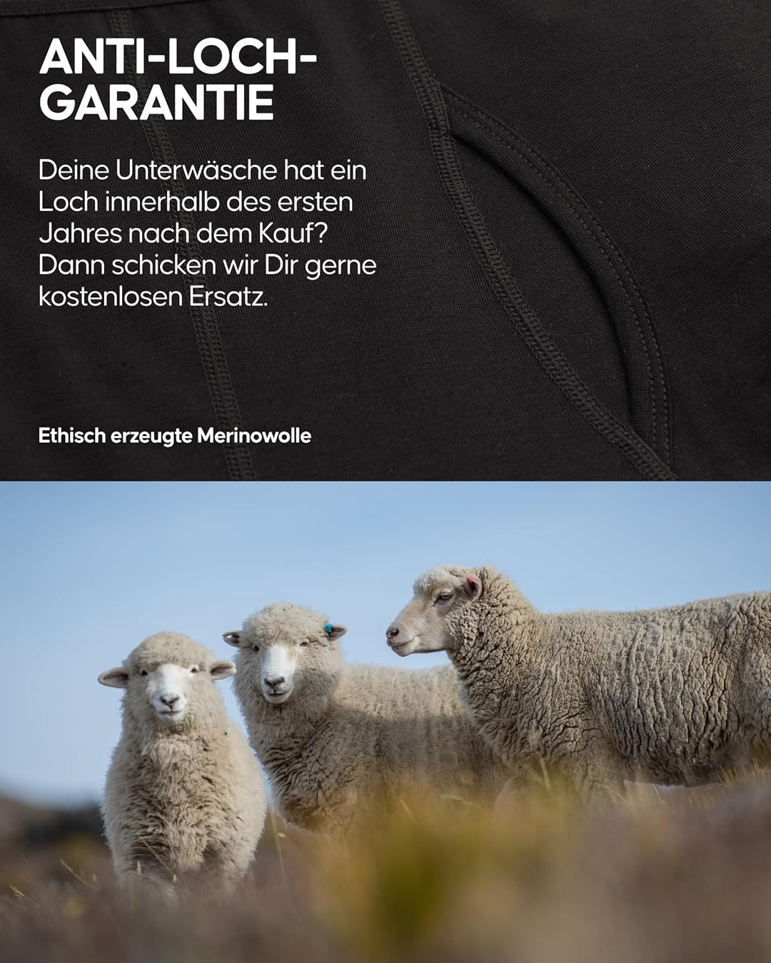 DANISH ENDURANCE Merino Boxershorts Herren, 2er Pack | Merino Boxershorts mit oder ohne Eingriff, Ge