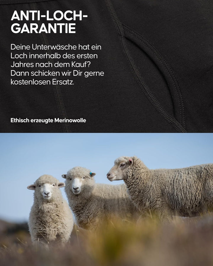 DANISH ENDURANCE Merino Boxershorts Herren, 2er Pack | Merino Boxershorts mit oder ohne Eingriff, Ge