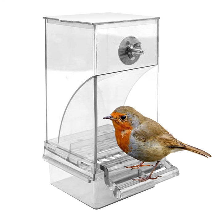 Vogelfutterspender Transparenter grosser Acryl-Futterbehälter | Automatischer Vogel-Futterbehälter F